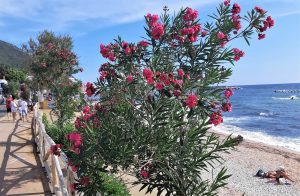 Ce sa vizitezi in Sardinia