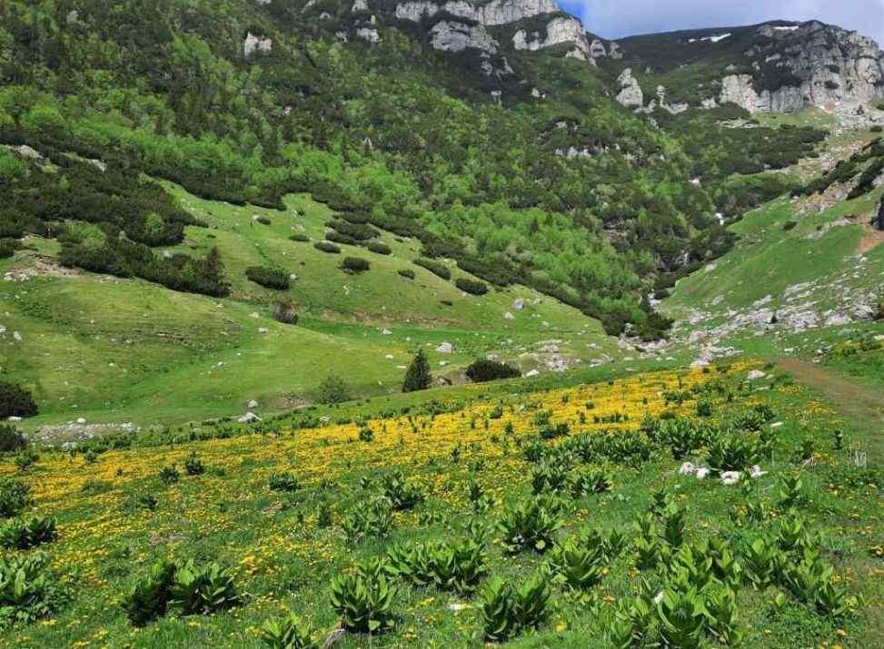 Trasee montane din Bucegi - Cascada Doamnele