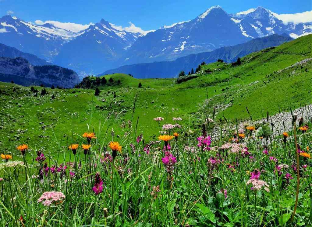 Obiective turistice atractive din regiunea Jungfrau