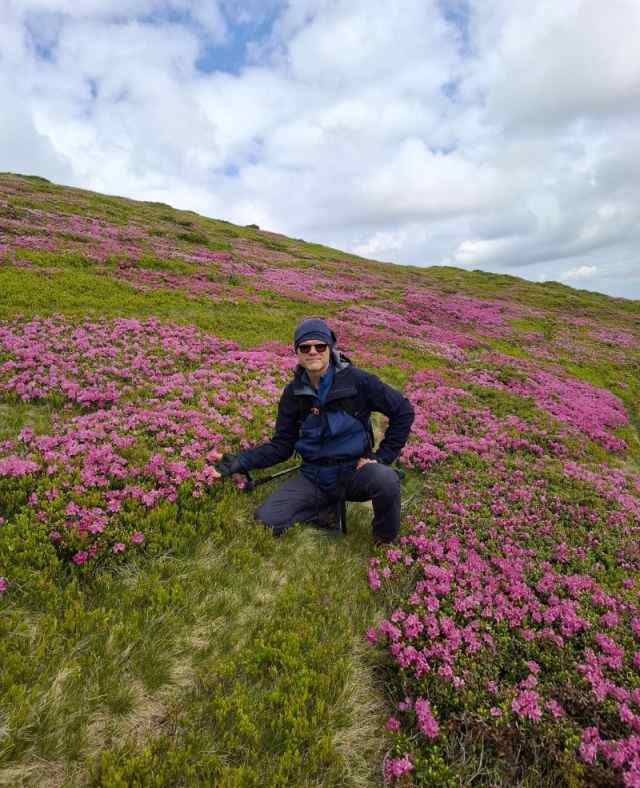 Simfonia florilor de rododendron-Munții Ciucaș
